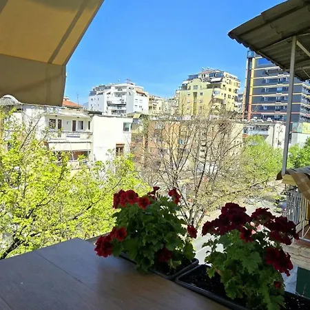 Arkle 3 * Tirana